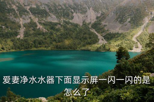 愛妻凈水器，愛妻飲水機多少錢