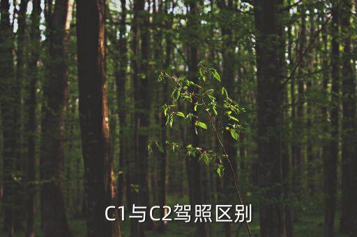 C1與C2駕照區(qū)別