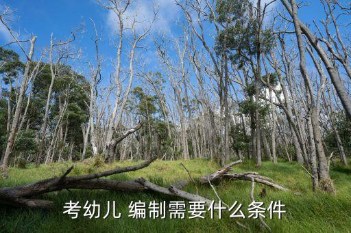 考幼兒 編制需要什么條件