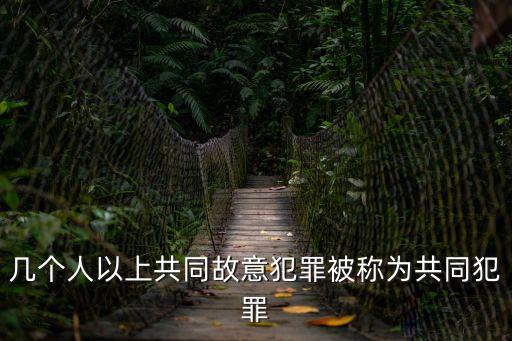 共同犯罪，共同犯罪的概念是什么