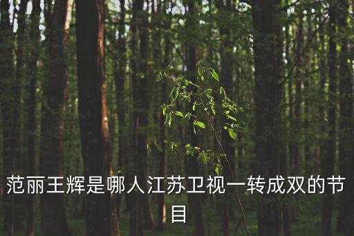范麗王輝是哪人江蘇衛(wèi)視一轉(zhuǎn)成雙的節(jié)目