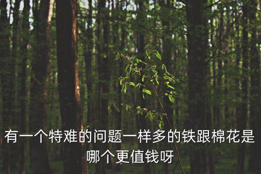 有一個特難的問題一樣多的鐵跟棉花是哪個更值錢呀