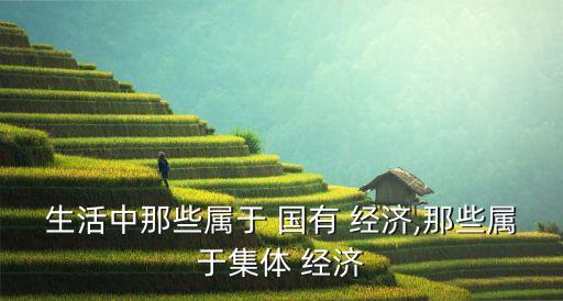 國有經(jīng)濟(jì)包括哪些