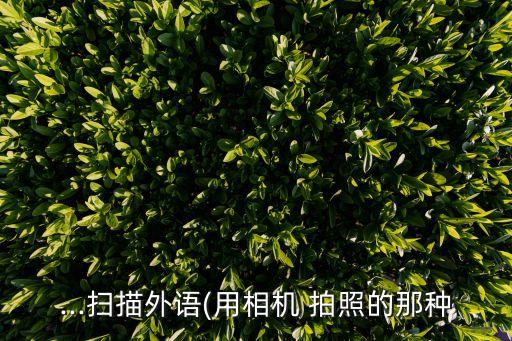 中英文互譯翻譯器拍照