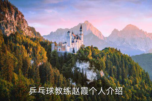 乒乓球教練趙霞個人介紹