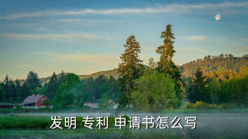 發(fā)明 專利 申請(qǐng)書(shū)怎么寫(xiě)