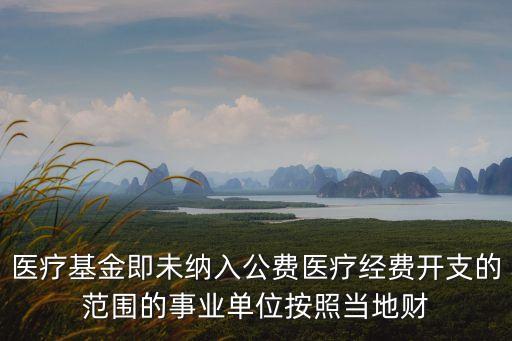 公費(fèi)醫(yī)療管理辦法，醫(yī)療基金即未納入公費(fèi)醫(yī)療經(jīng)費(fèi)開(kāi)支的范圍的事業(yè)單位按照當(dāng)?shù)刎?cái)