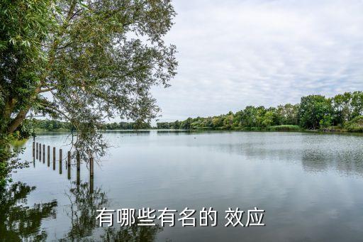 二八效應(yīng)