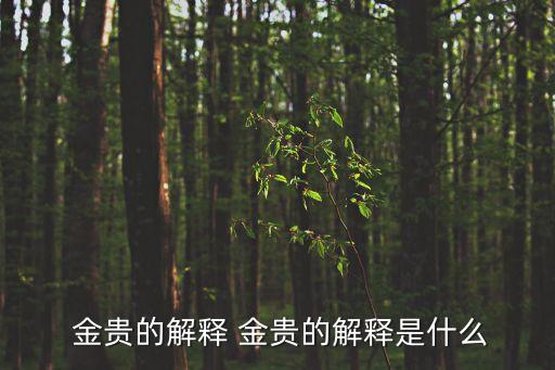 王金貴