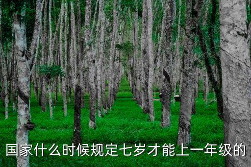 國家什么時候規(guī)定七歲才能上一年級的