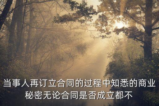 當(dāng)事人再訂立合同的過(guò)程中知悉的商業(yè)秘密無(wú)論合同是否成立都不