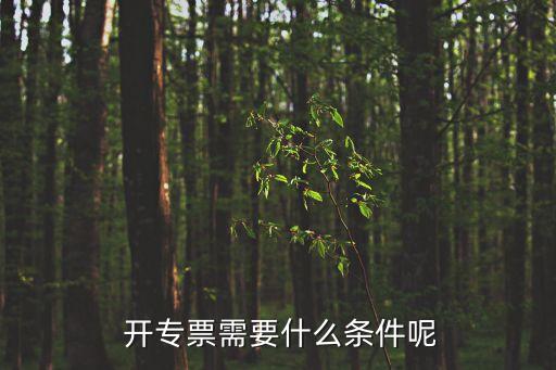 開專票