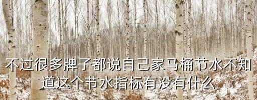 不過很多牌子都說自己家馬桶節(jié)水不知道這個(gè)節(jié)水指標(biāo)有沒有什么