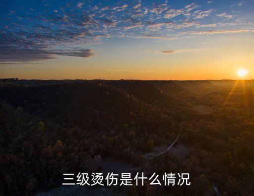 三級燙傷是什么情況