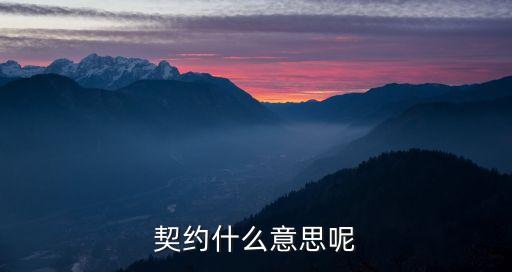 契約什么意思呢