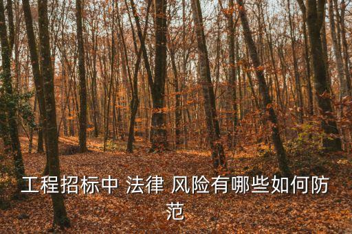 工程招標(biāo)中 法律 風(fēng)險(xiǎn)有哪些如何防范