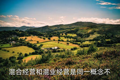 混合經(jīng)營和混業(yè)經(jīng)營是同一概念不