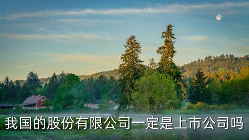 我國的股份有限公司一定是上市公司嗎