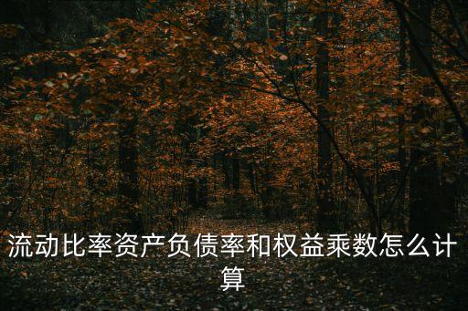 流動(dòng)比率資產(chǎn)負(fù)債率和權(quán)益乘數(shù)怎么計(jì)算