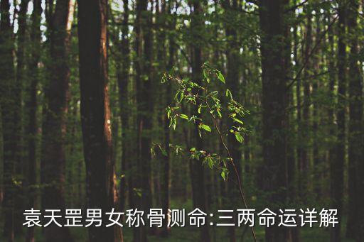 袁天罡男女稱骨測命:三兩命運詳解