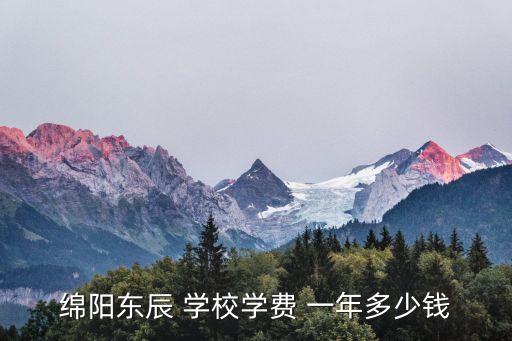 綿陽東辰 學(xué)校學(xué)費(fèi) 一年多少錢