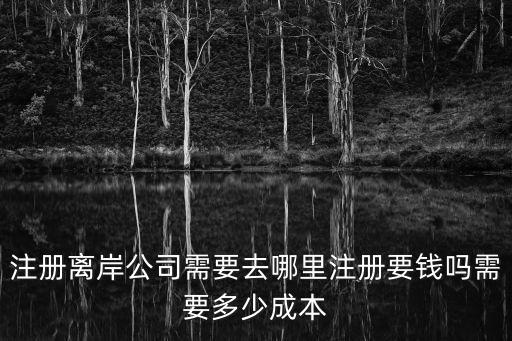 離岸公司注冊(cè)，注冊(cè)離岸公司最低年齡是多少