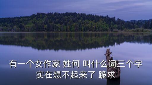 有一個(gè)女作家 姓何 叫什么詞三個(gè)字實(shí)在想不起來(lái)了 跪求