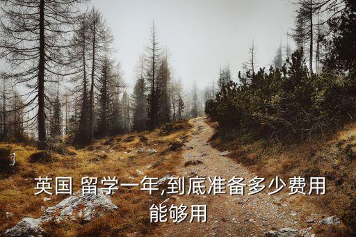英國留學(xué)生活費(fèi),王思聰英國留學(xué)生活費(fèi)