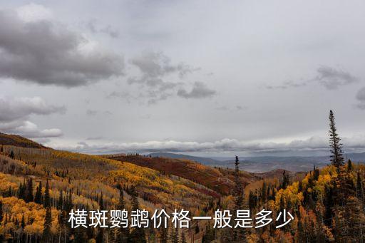 橫斑鸚鵡價(jià)格一般是多少