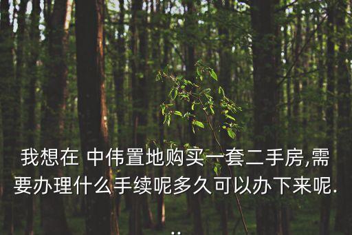 中偉置地