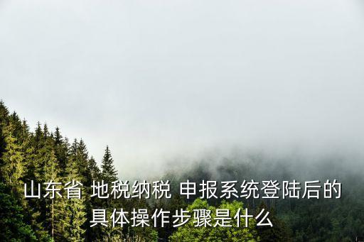 煙臺(tái)地稅網(wǎng)上申報(bào),浙江地稅網(wǎng)上申報(bào)入口
