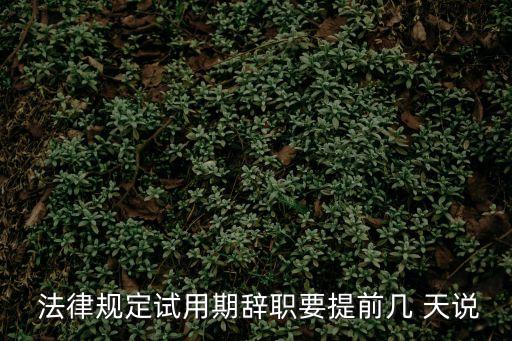 法律多少天說(shuō)勞動(dòng)合同發(fā)的,勞動(dòng)法規(guī)定多久簽訂合同