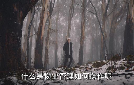 什么是物業(yè)管理如何操作呢