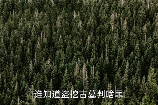 盜墓罪，盜墓是啥罪