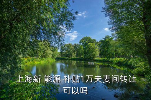 上海新能源補(bǔ)貼