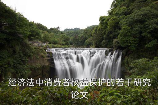 經(jīng)濟(jì)法論文,以一個(gè)公司為案例的經(jīng)濟(jì)法論文