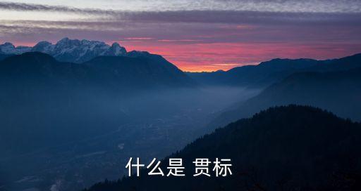 知識產(chǎn)權(quán)貫標(biāo)