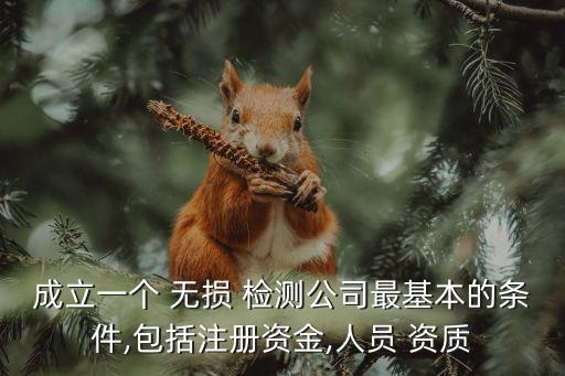 無損檢測機構(gòu)資質(zhì)
