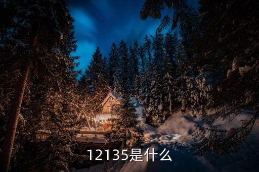 12135是什么