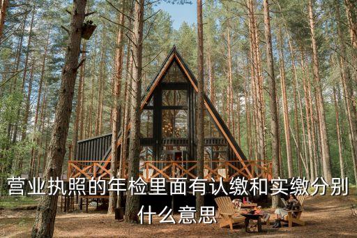 營(yíng)業(yè)執(zhí)照的年檢里面有認(rèn)繳和實(shí)繳分別什么意思