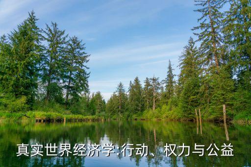 真實世界經(jīng)濟學(xué):行動、權(quán)力與公益