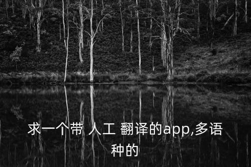 有沒(méi)有真正的人工翻譯的平臺(tái)