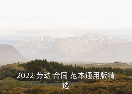 2022 勞動 合同 范本通用版精選
