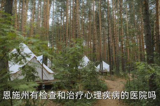 恩施優(yōu)撫醫(yī)院，恩施州有檢查和治療心理疾病的醫(yī)院嗎