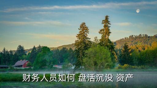 資產(chǎn)盤活方案,行政事業(yè)單位國有資產(chǎn)盤活方案