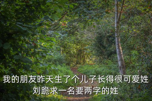 劉舟，幫我設(shè)計(jì)名字
