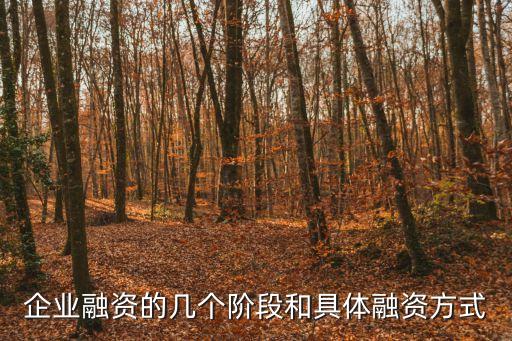 企業(yè)融資的幾個(gè)階段和具體融資方式