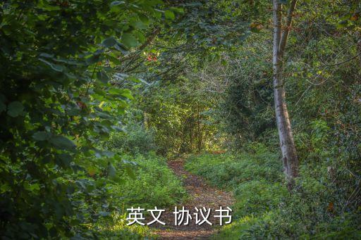 代理協(xié)議英文版,http代理協(xié)議