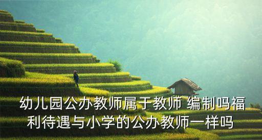  幼兒園公辦教師屬于教師 編制嗎福利待遇與小學(xué)的公辦教師一樣嗎