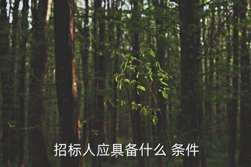 招標(biāo)條件,EPC項目招標(biāo)條件